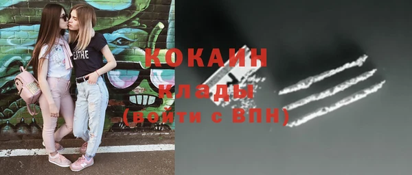 прущие грибы Козловка