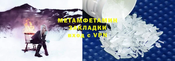 прущие грибы Козловка