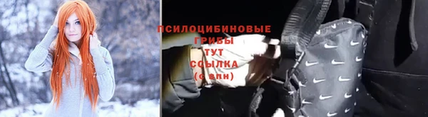 эйфоретик Кодинск