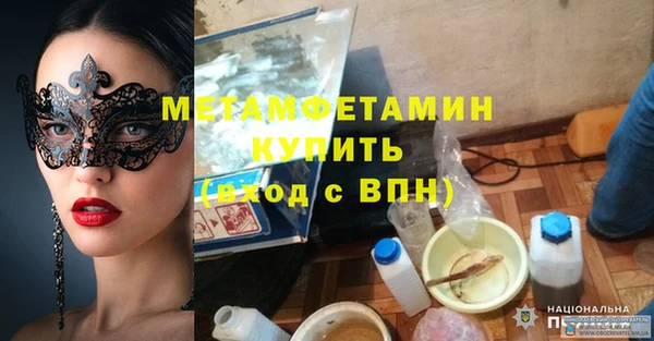 прущие грибы Козловка