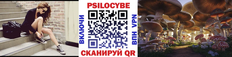 Псилоцибиновые грибы прущие грибы  Нижняя Салда 